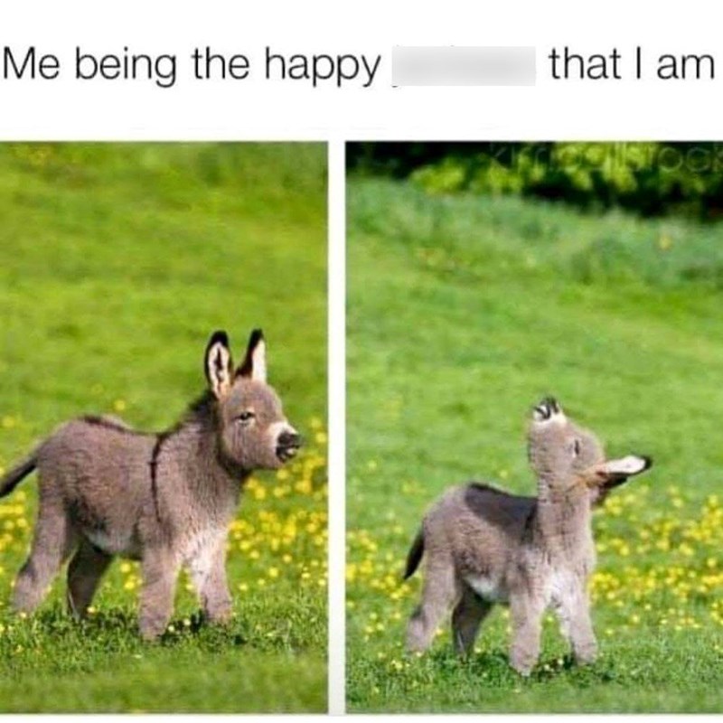 Me being the happy that I am