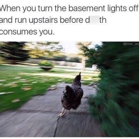 When you turn the basement lights off and run upstairs before d th Consumes you. mo_wc
