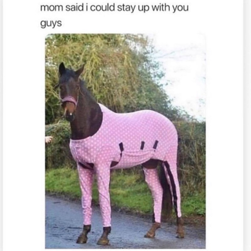 mom said i could stay up with you guys