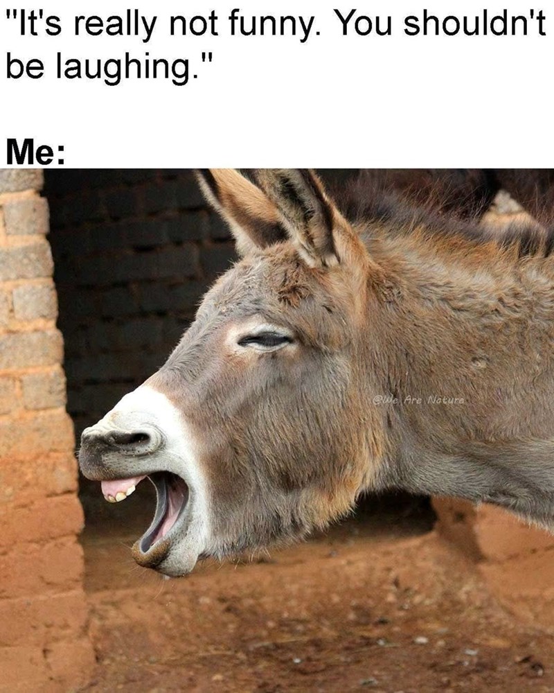 "It's really not funny. You shouldn't be laughing." Me: @We Are Nature