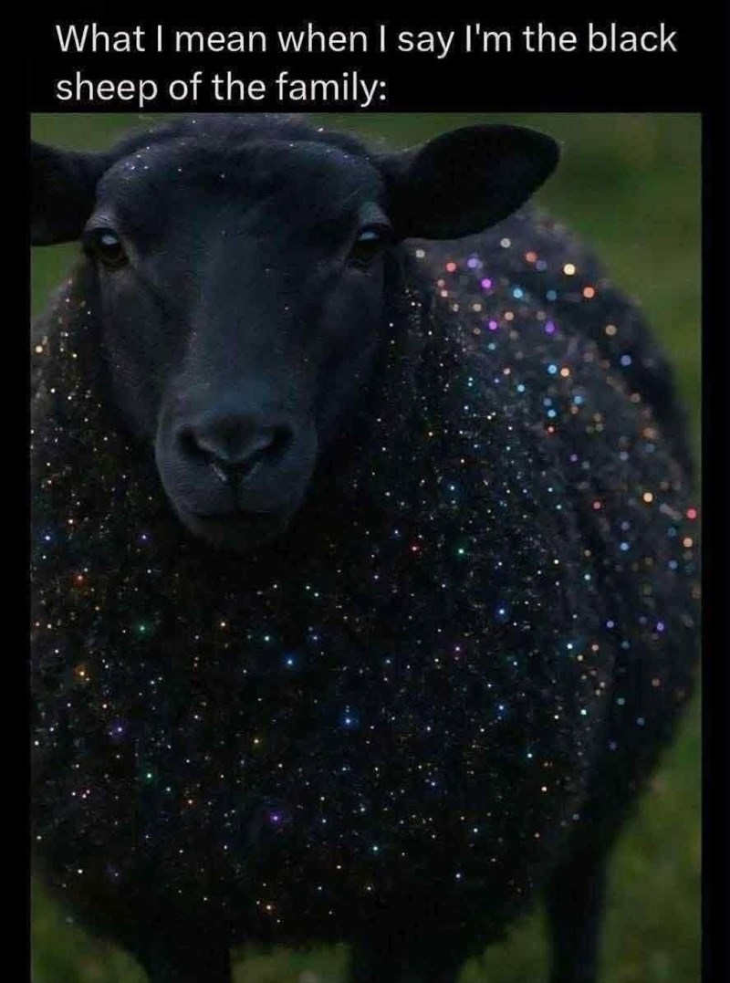 What I mean when I say I'm the black sheep of the family: