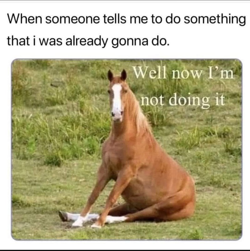 When someone tells me to do something that i was already gonna do. Well now I'm not doing it