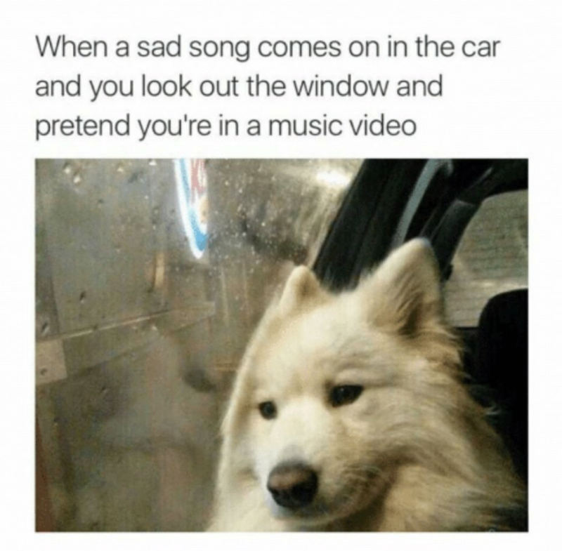 When a sad song comes on in the car and you look out the window and pretend you're in a music video