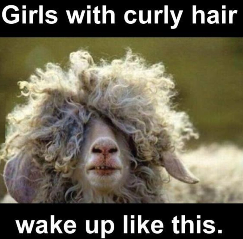 Girls with curly hair wake up like this.