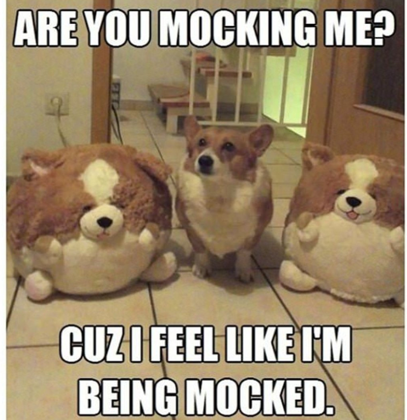 ARE YOU MOCKING ME? CUZ I FEEL LIKE I'M BEING MOCKED.