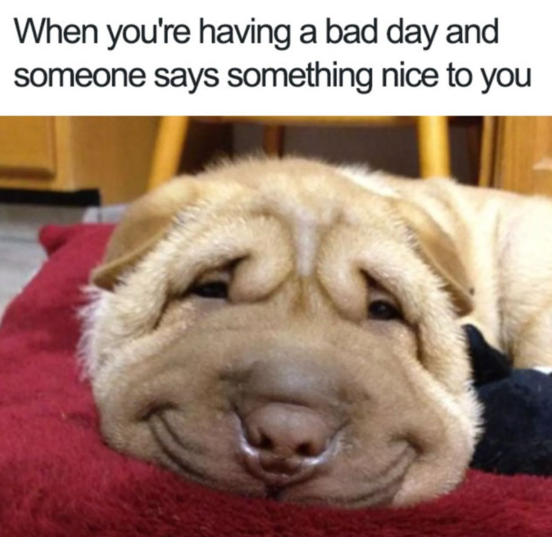 When you're having a bad day and someone says something nice to you