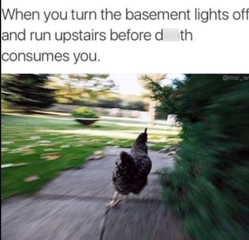 When you turn the basement lights off and run upstairs before d th consumes you. Omo_w