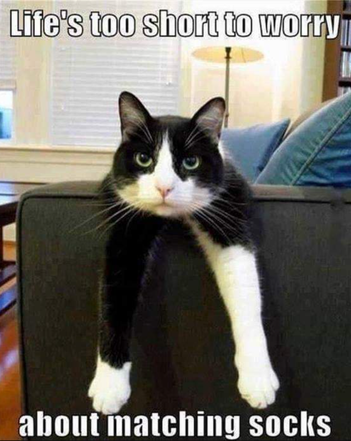 Life's too short to worry about matching socks