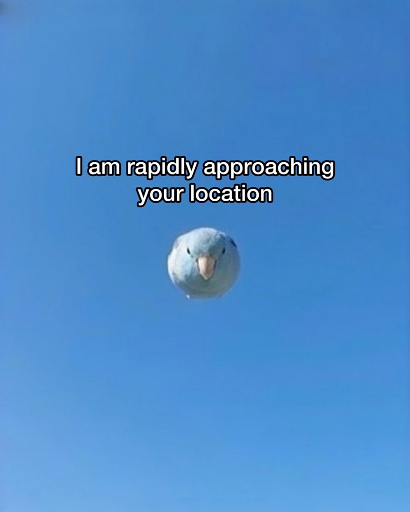 I am rapidly approaching your location