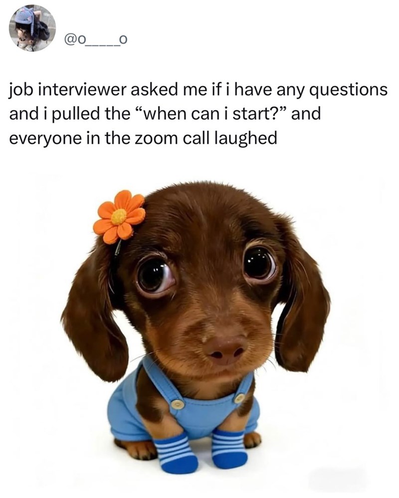 @o job interviewer asked me if i have any questions and i pulled the "when can i start?" and everyone in the zoom call laughed