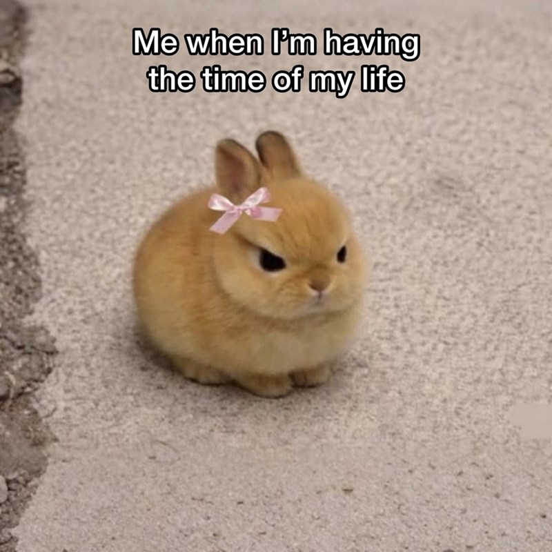 Me when I'm having the time of my life