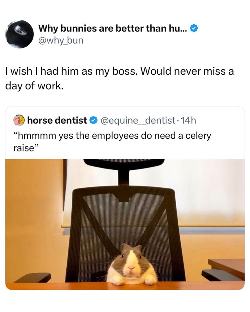 Why bunnies are better than hu... @why_bun I wish I had him as my boss. Would never miss a day of work. horse dentist @equine_dentist. 14h "hmmmm yes the employees do need a celery raise"