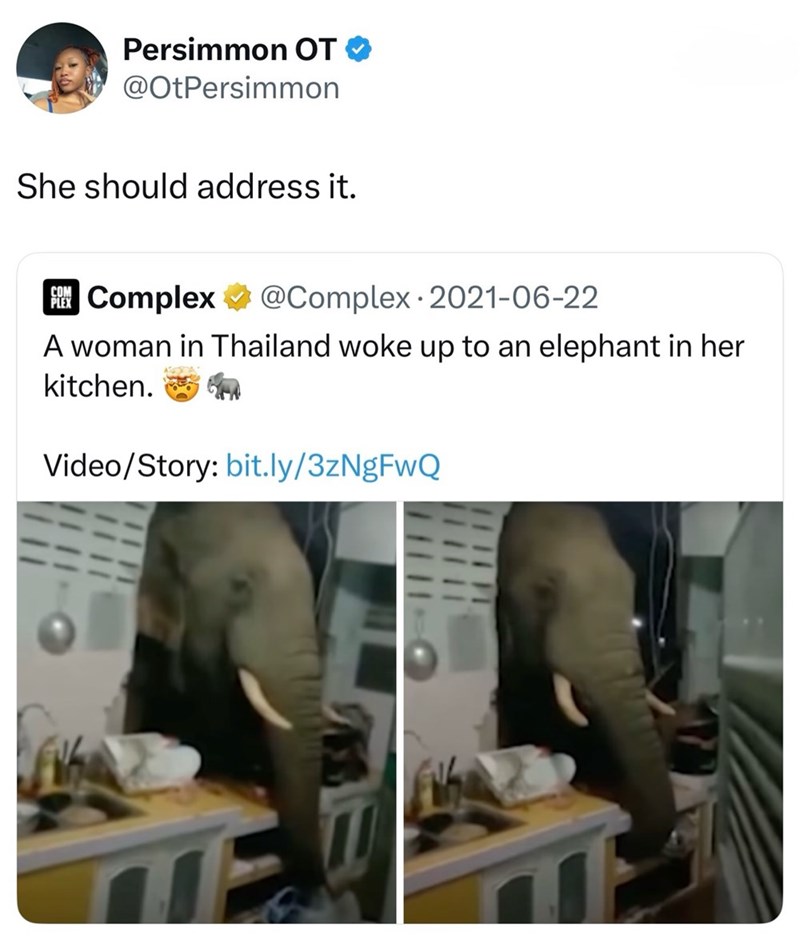 Persimmon OT @OtPersimmon She should address it. COM Complex @Complex 2021-06-22 A woman in Thailand woke up to an elephant in her kitchen. Video/Story: bit.ly/3zNgFwQ D