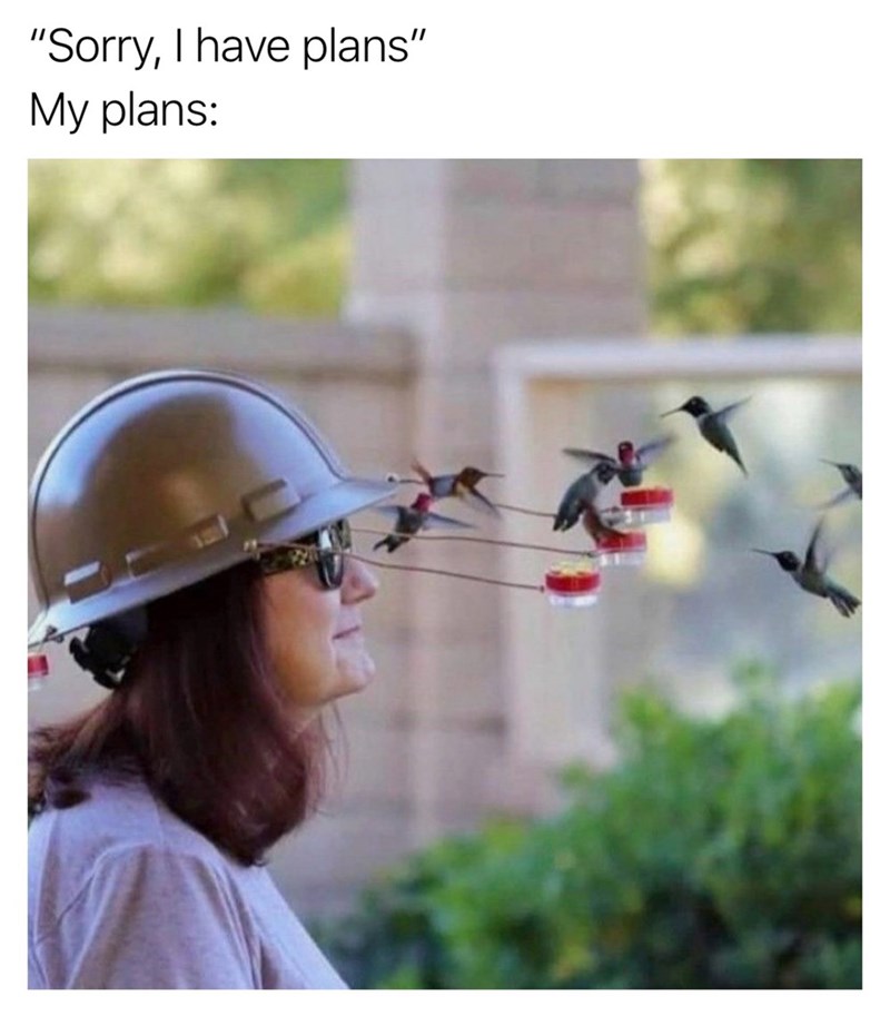"Sorry, I have plans" My plans: