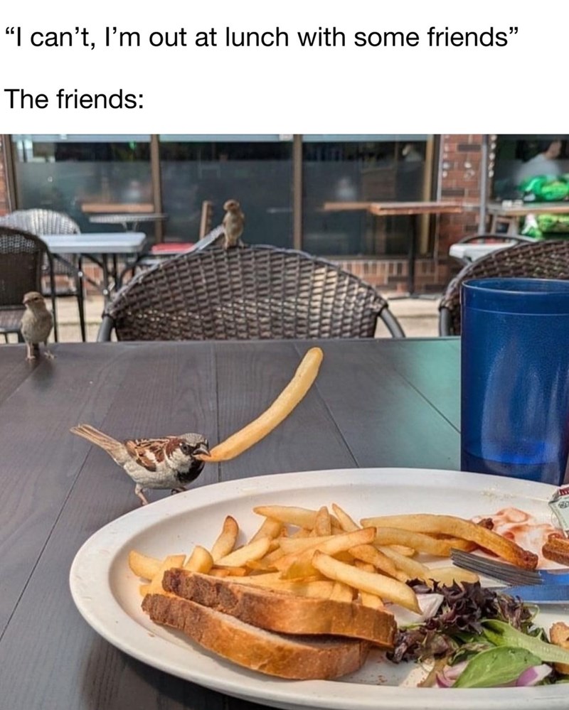 "I can't, I'm out at lunch with some friends" The friends: