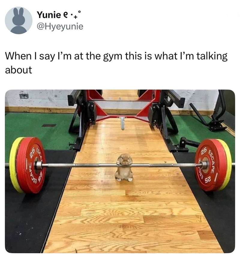 Yunie e @Hyeyunie When I say I'm at the gym this is what I'm talking about ESCAPE