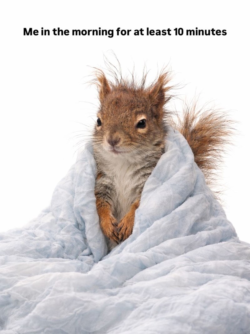 Me in the morning for at least 10 minutes