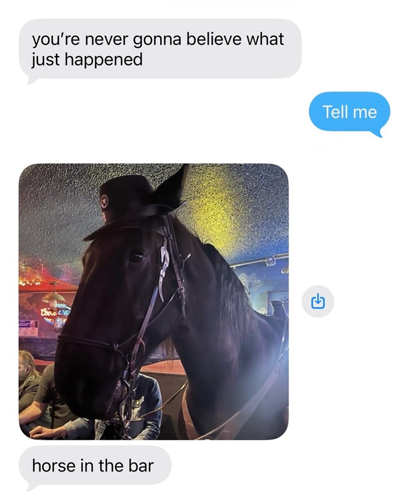 CooLIG you're never gonna believe what just happened horse in the bar G Tell me