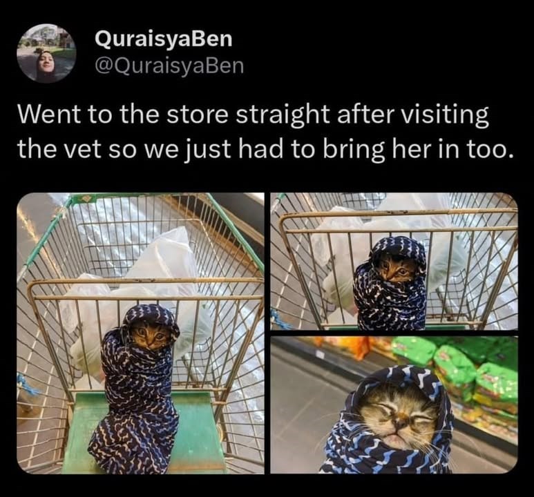QuraisyaBen @QuraisyaBen Went to the store straight after visiting the vet so we just had to bring her in too.