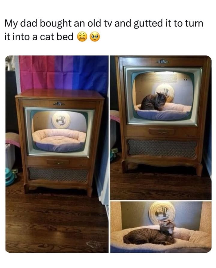 My dad bought an old tv and gutted it to turn it into a cat bed