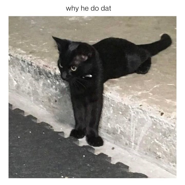 why he do dat
