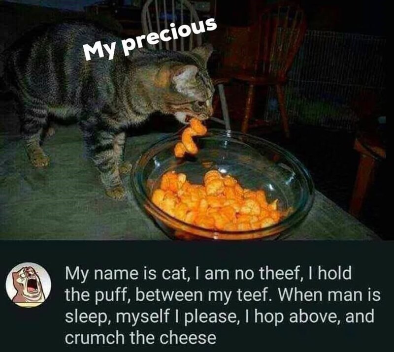 My precious My name is cat, I am no theef, I hold the puff, between my teef. When man is sleep, myself I please, I hop above, and crumch the cheese