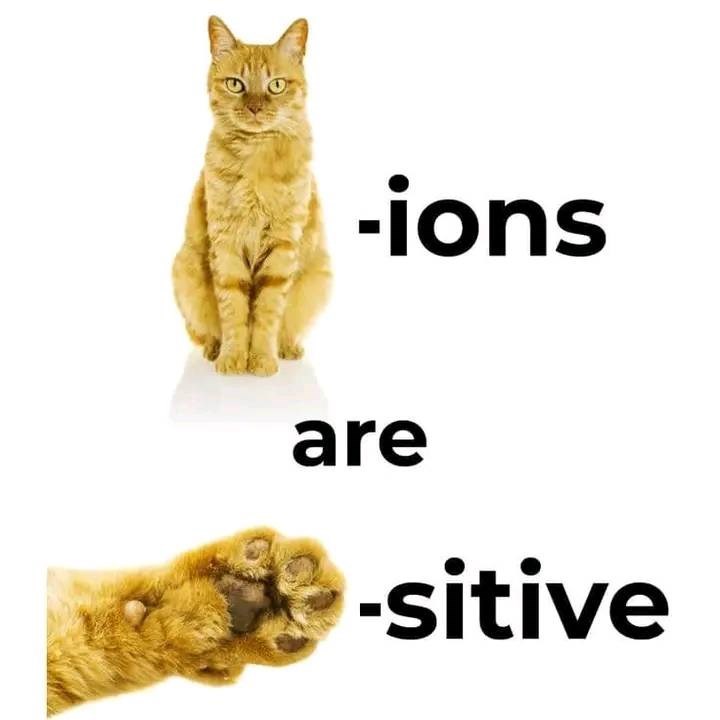 -ions are -sitive