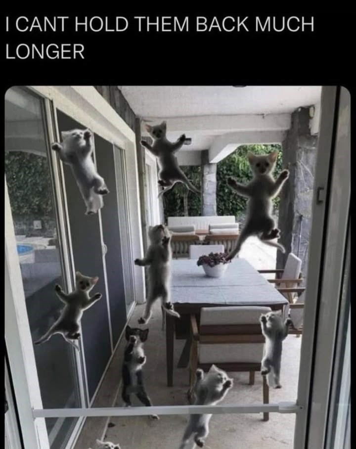 I CANT HOLD THEM BACK MUCH LONGER