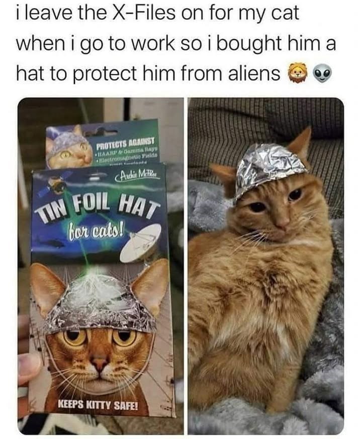 i leave the X-Files on for my cat when i go to work so i bought him a hat to protect him from aliens C PROTECTS AGAINST HAARP & Gamma Rays Electromagnetic Fields Archie Mete TIN FOIL HAT for cats! KEEPS KITTY SAFE!