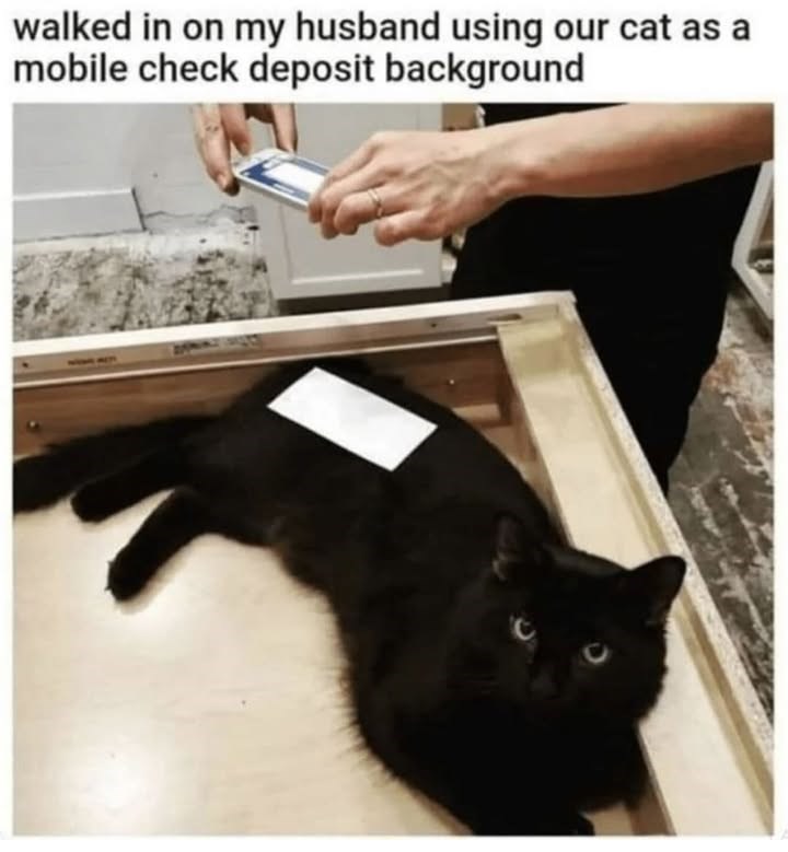 walked in on my husband using our cat as a mobile check deposit background