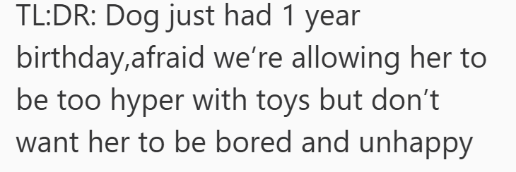 TL:DR: Dog just had 1 year birthday,afraid we're allowing her to be too hyper with toys but don't want her to be bored and unhappy