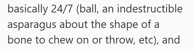 basically 24/7 (ball, an indestructible asparagus about the shape of a bone to chew on or throw, etc), and