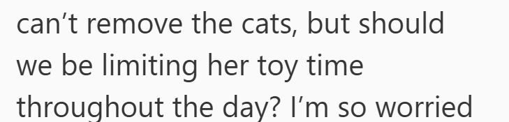 can't remove the cats, but should we be limiting her toy time throughout the day? I'm so worried
