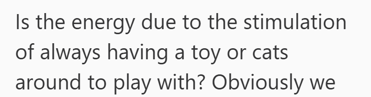 Is the energy due to the stimulation of always having a toy or cats around to play with? Obviously we
