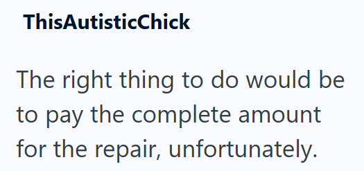 ThisAutisticChick The right thing to do would be to pay the complete amount for the repair, unfortunately.