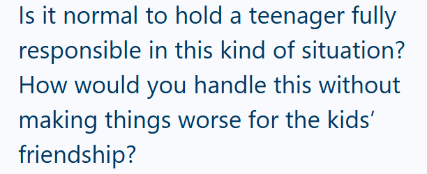 Is it normal to hold a teenager fully responsible in this kind of situation? How would you handle this without making things worse for the kids' friendship?