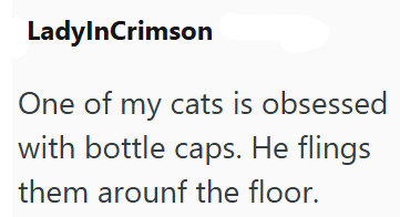 LadylnCrimson One of my cats is obsessed with bottle caps. He flings them arounf the floor.