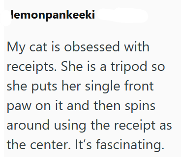 lemonpankeeki My cat is obsessed with receipts. She is a tripod so she puts her single front paw on it and then spins around using the receipt as the center. It's fascinating.