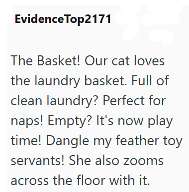 Evidence Top2171 The Basket! Our cat loves the laundry basket. Full of clean laundry? Perfect for naps! Empty? It's now play time! Dangle my feather toy servants! She also zooms across the floor with it.