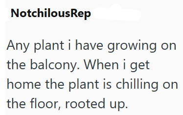 NotchilousRep Any plant i have growing on the balcony. When i get home the plant is chilling on the floor, rooted up.