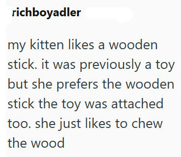 richboyadler my kitten likes a wooden stick. it was previously a toy but she prefers the wooden stick the toy was attached too. she just likes to chew the wood