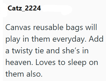 Catz_2224 Canvas reusable bags will play in them everyday. Add a twisty tie and she's in heaven. Loves to sleep on them also.