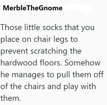 MerbleTheGnome Those little socks that you place on chair legs to prevent scratching the hardwood floors. Somehow he manages to pull them off of the chairs and play with them.
