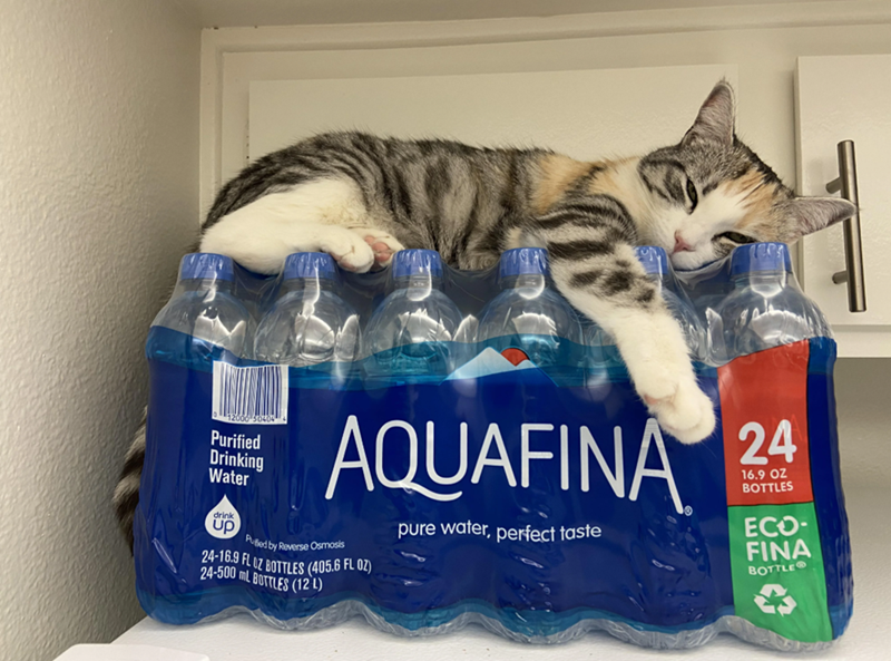 Purified Drinking Water drink up AQUAFINA Pufied by Reverse Osmosis 24-16.9 FL OZ BOTTLES (405.6 FL OZ) 24-500 mL BOTTLES (12L) pure water, perfect taste 24 16.9 OZ BOTTLES ECO- FINA BOTTLE