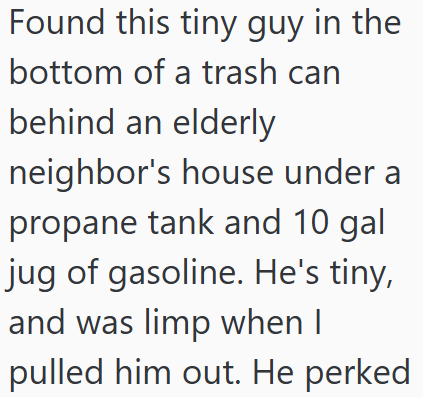 Found this tiny guy in the bottom of a trash can behind an elderly neighbor's house under a propane tank and 10 gal jug of gasoline. He's tiny, and was limp when I pulled him out. He perked