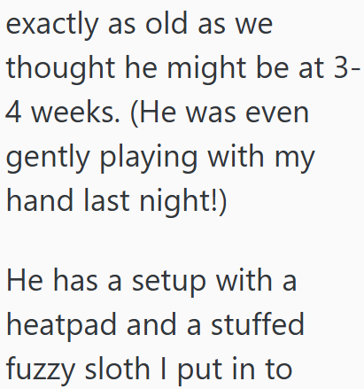 exactly as old as we thought he might be at 3- 4 weeks. (He was even gently playing with my hand last night!) He has a setup with a heatpad and a stuffed fuzzy sloth I put in to