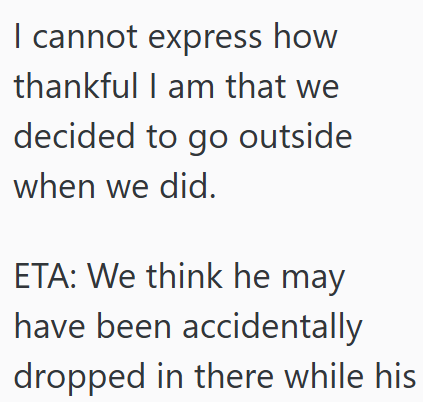 I cannot express how thankful I am that we decided to go outside when we did. ETA: We think he may have been accidentally dropped in there while his