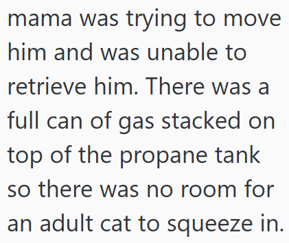 mama was trying to move him and was unable to retrieve him. There was a full can of gas stacked on top of the propane tank so there was no room for an adult cat to squeeze in.