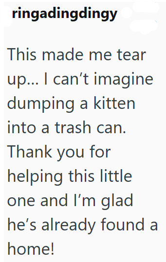 ringadingdingy This made me tear up... I can't imagine dumping a kitten into a trash can. Thank you for helping this little one and I'm glad he's already found a home!
