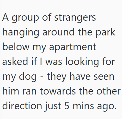 A group of strangers hanging around the park below my apartment asked if I was looking for my dog - they have seen him ran towards the other direction just 5 mins ago.